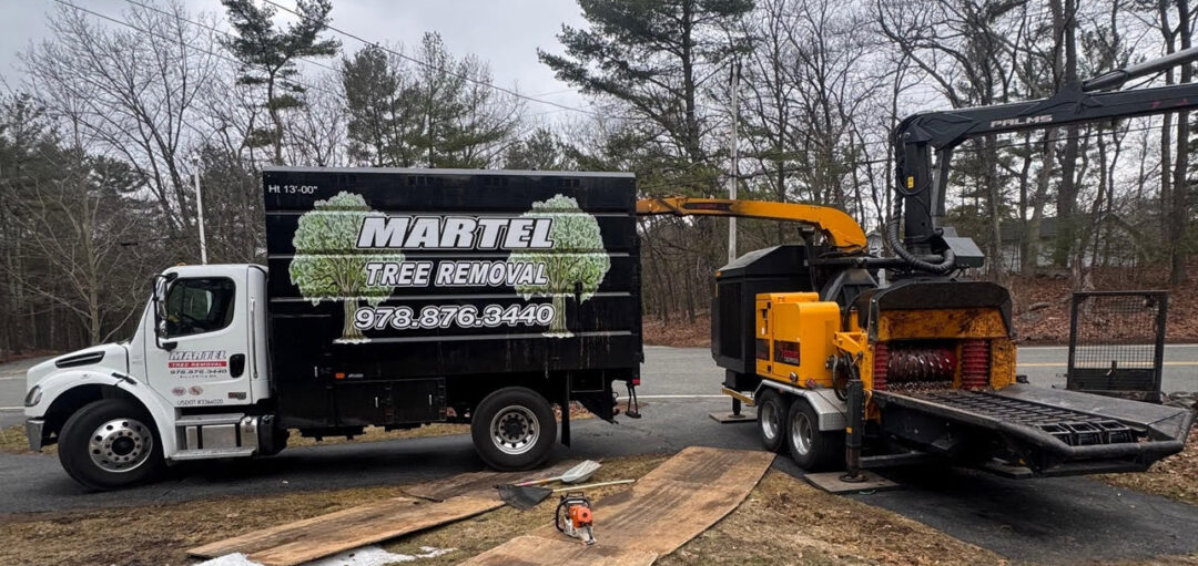 Tree Removal Service in Chelmsford, MA