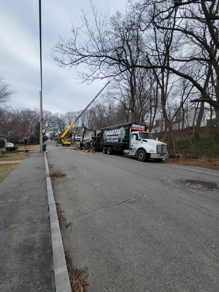 Martel Crane & Tree Service setup the 100 ton crane in the street to remove large hardwoods from around the property of this home in Lowell, MA.

