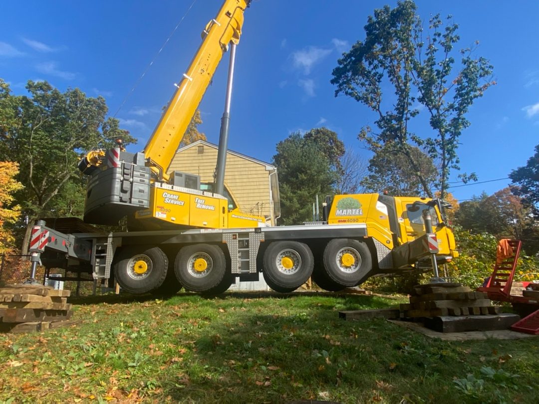 Tree Service and Removal in Billerica, MA.