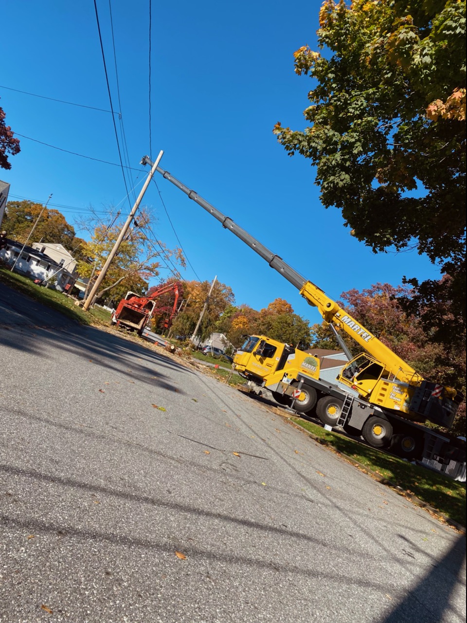 Tree Removal in Lowell, MA