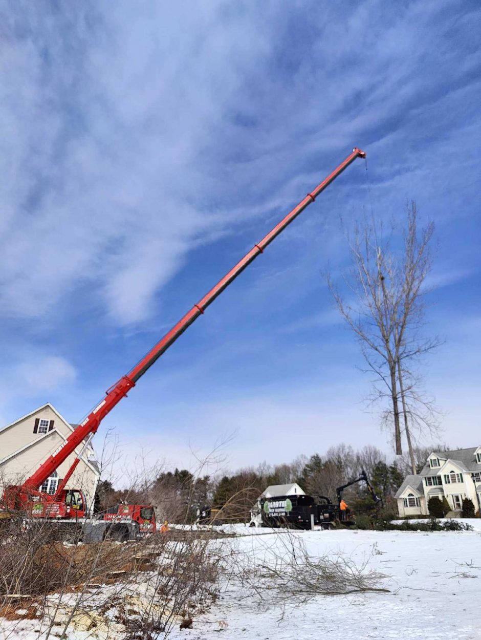 Tree Removal and Crane Service in North Billerica, MA.


