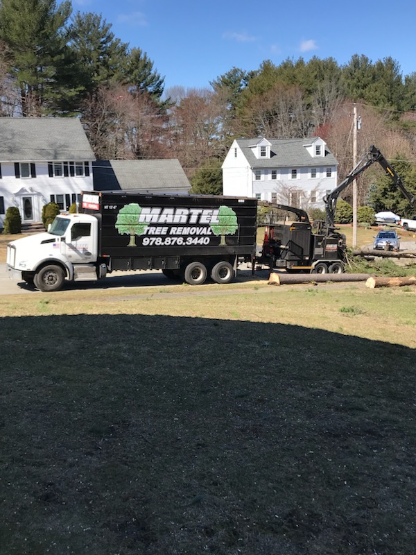 The crew from Martel Crane & Tree removed several large hardwoods at this residence in Billerica, MA.

