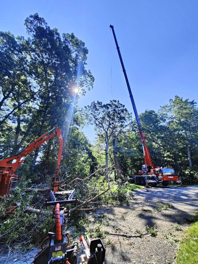 Martel Crane & Tree removed multiple trees at this property in Dracut, MA.


