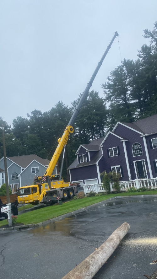 The 100 ton crane was used on this job to safely remove trees by Martel Crane & Tree in Burlington, MA.

