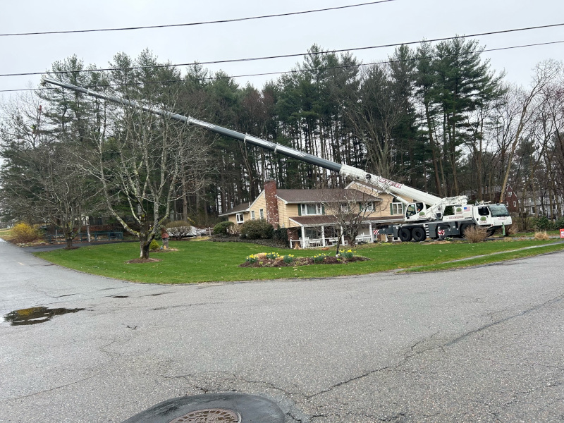 Crane Service and Tree Removal in Billerica, MA