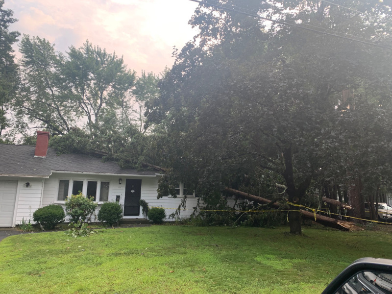 Emergency Storm Damage and Tree Service in Chelmsford, MA.