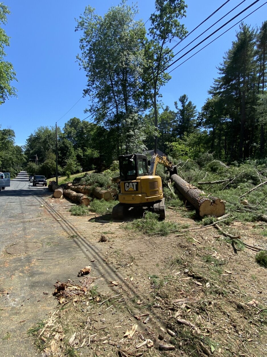 We removed over 50 pines to create space for the lawn in Chelmsford, MA.