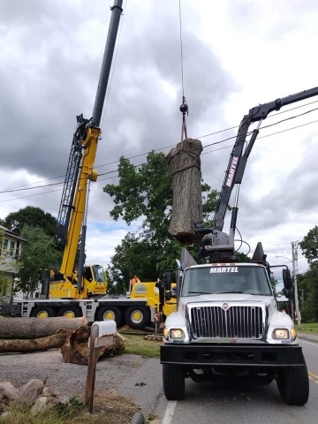 Tree Removal and Crane Service in Tewksbury, MA.
