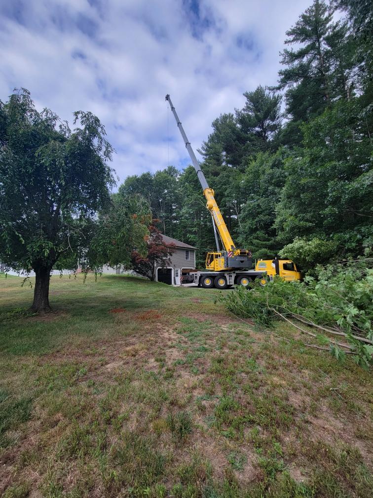 Tree Removal and Crane Service in Chelmsford, MA.
