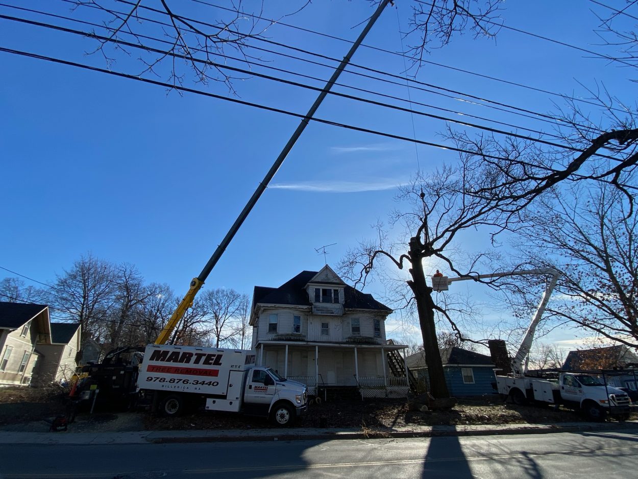 Martel Crane & Tree needed the bucket crew along with the 100-ton crane to safely remove this massive tree from the front of this property in Lowell, MA.
