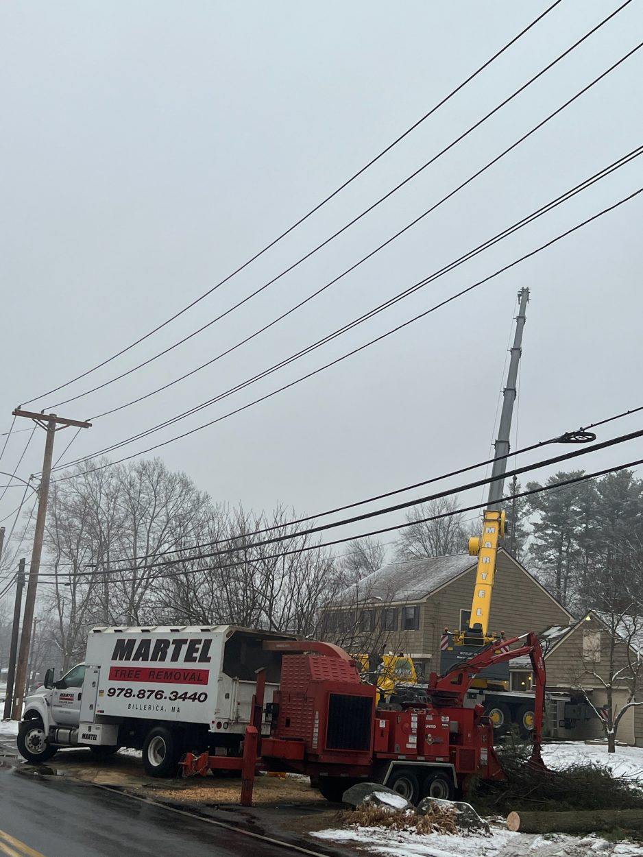 Tree Removal Services in Chelmsford, MA.