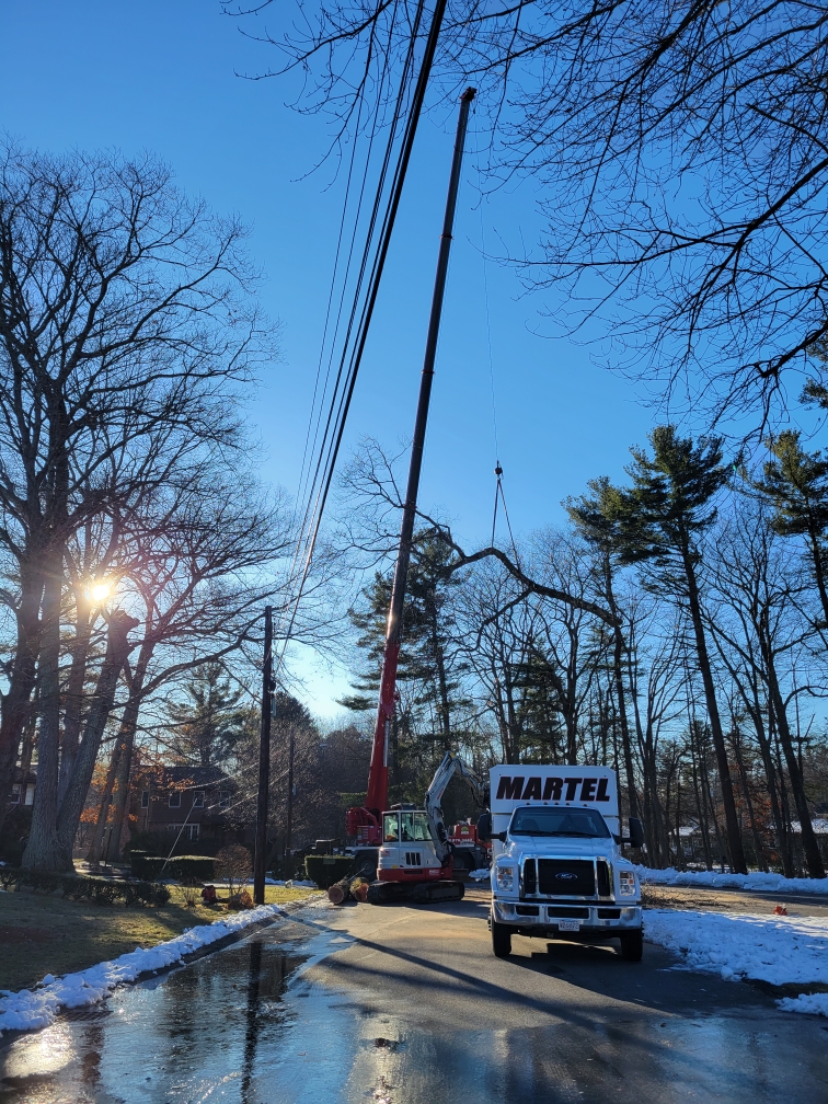Martel Crane & Tree Service removed trees from this home in Billerica, MA.


