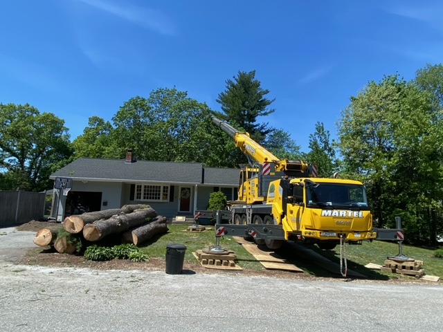 Martel Crane & Tree removed trees from this home in Chelmsford, MA.
