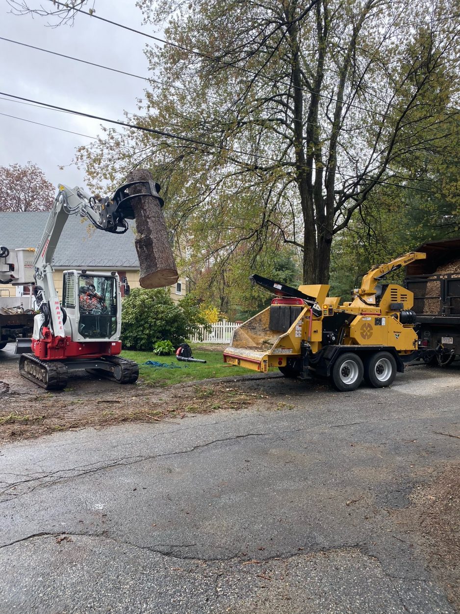 Tree Removal and Crane Service in Wilmington, MA