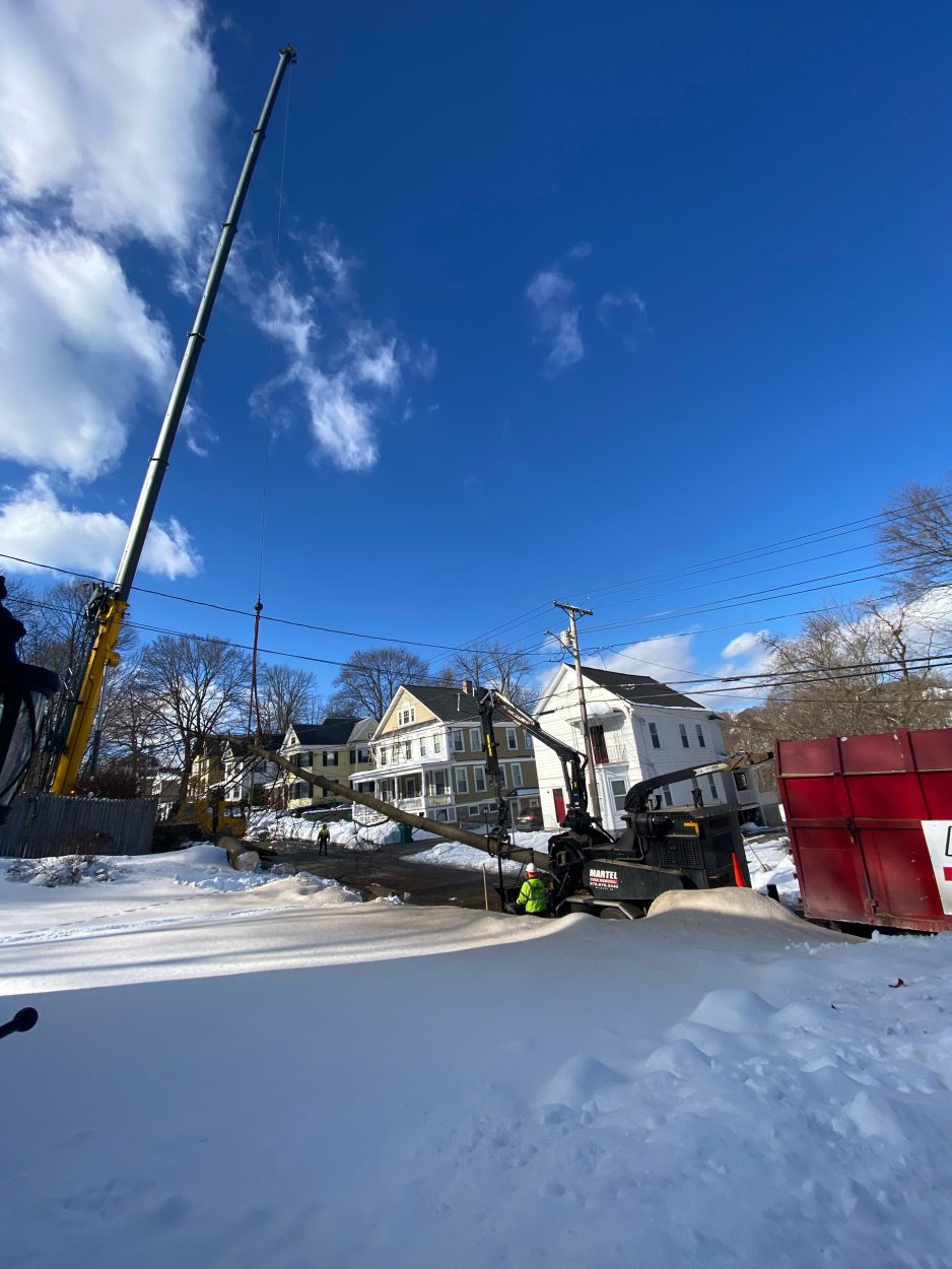 Tree Service and Removal in Lowell, MA.