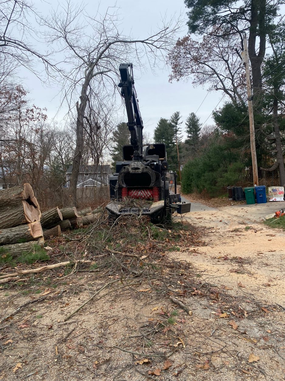 Tree Removal in Billerica, MA. Here's a wood chipper going to work. 