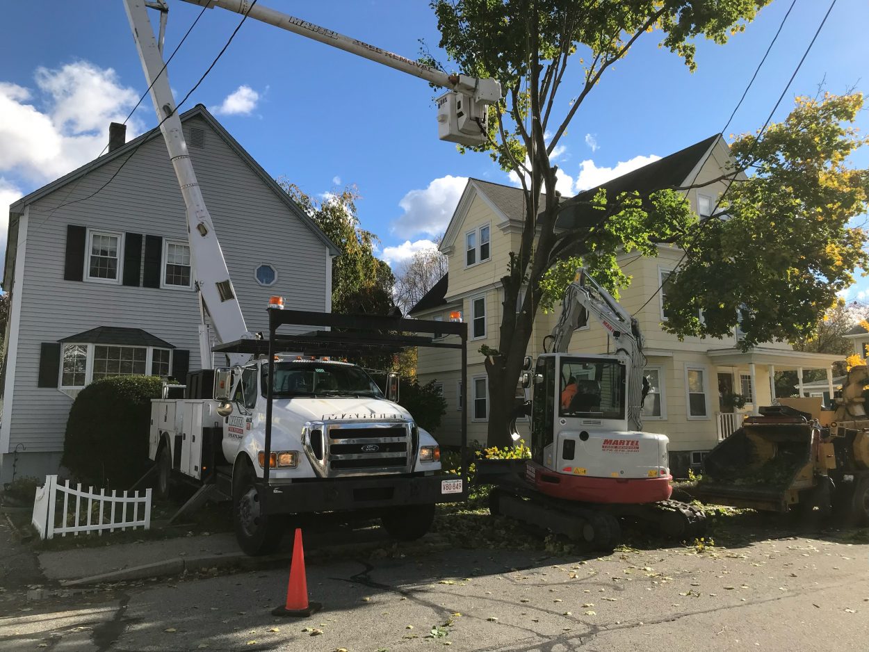 The bucket truck was used to safely remove this maple tree that was too close to the wires at this property in Lowell, MA
