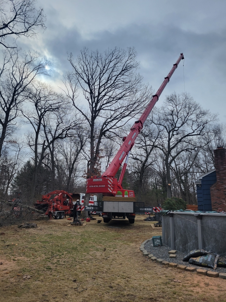 Martel Crane Service & Tree Removal, fit the red crane in this yard in Burlington, MA, to safely remove trees from the yard.

