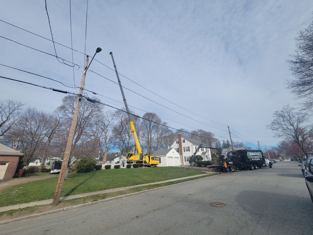 The crew and 100 ton crane from Martel Crane & Tree safely removed large hardwoods from this residential property in Lowell, MA.

