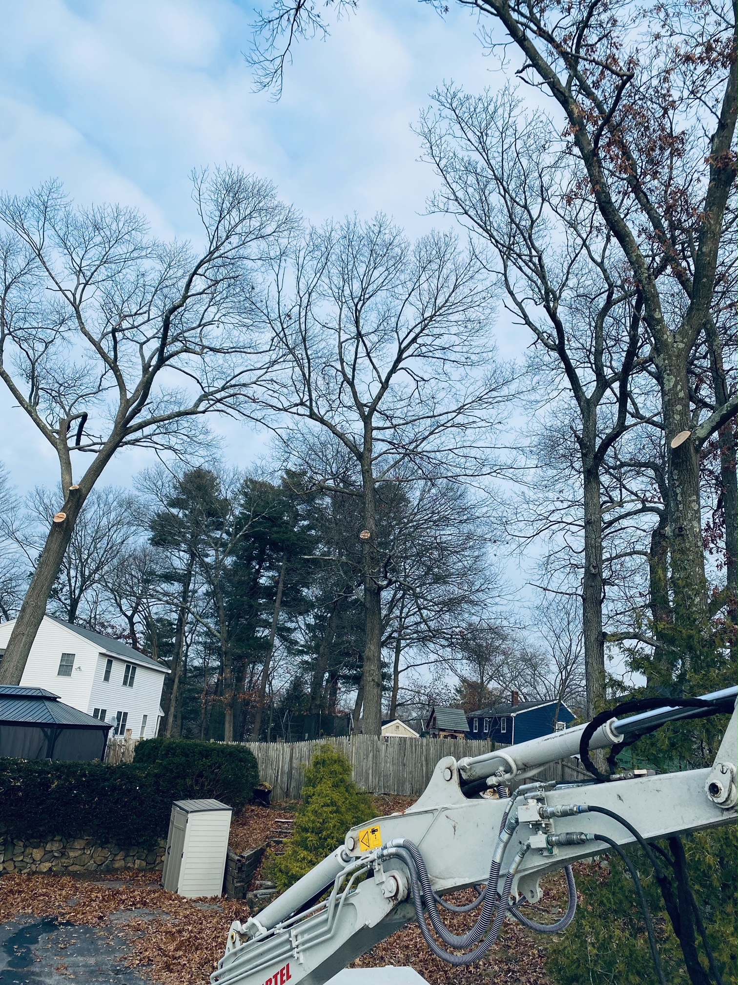 The crew trimmed some large trees to protect the yard for this property in Billerica, MA.