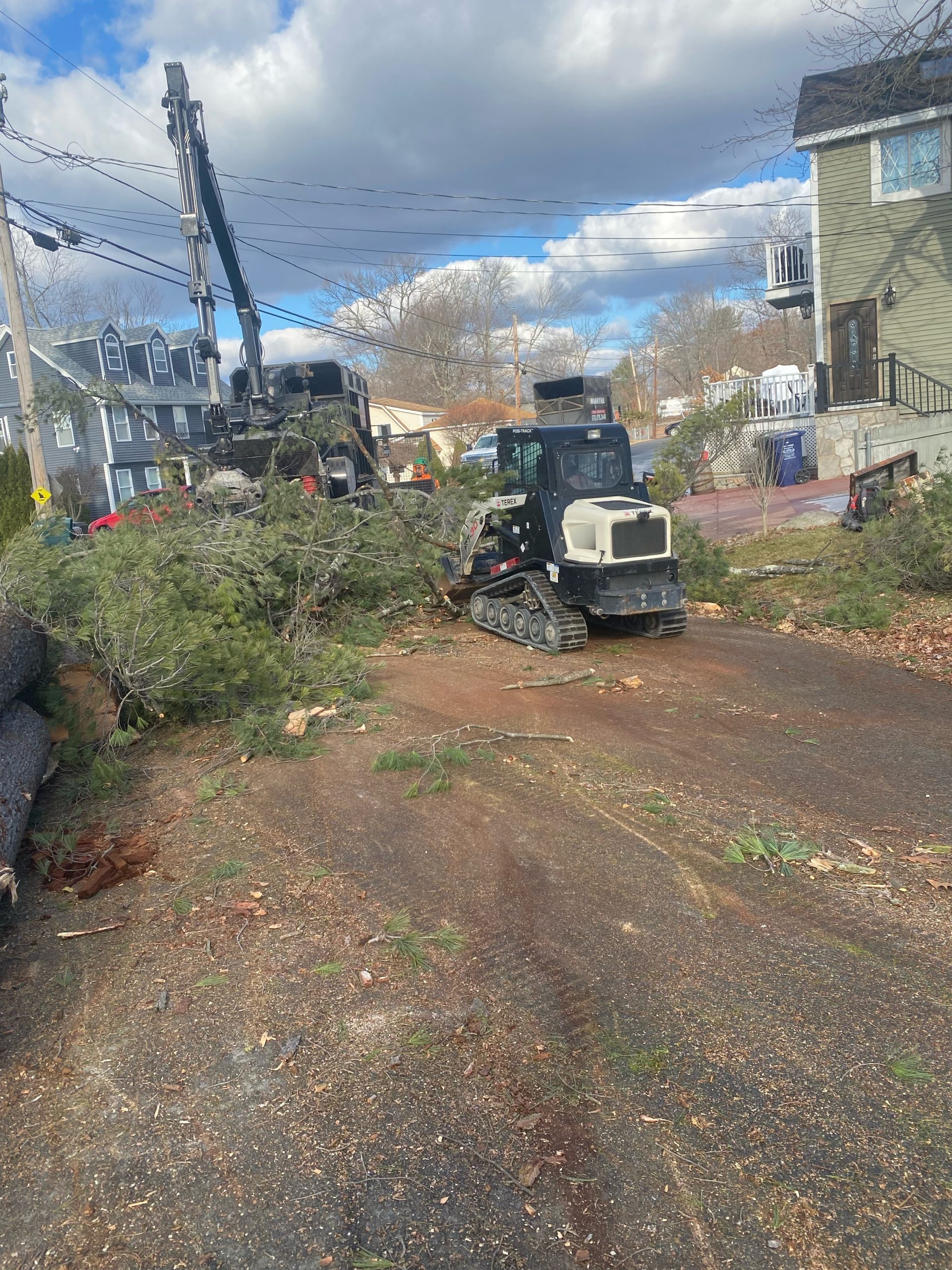 The crew and crane removed large pines near the lake in Dracut, MA.