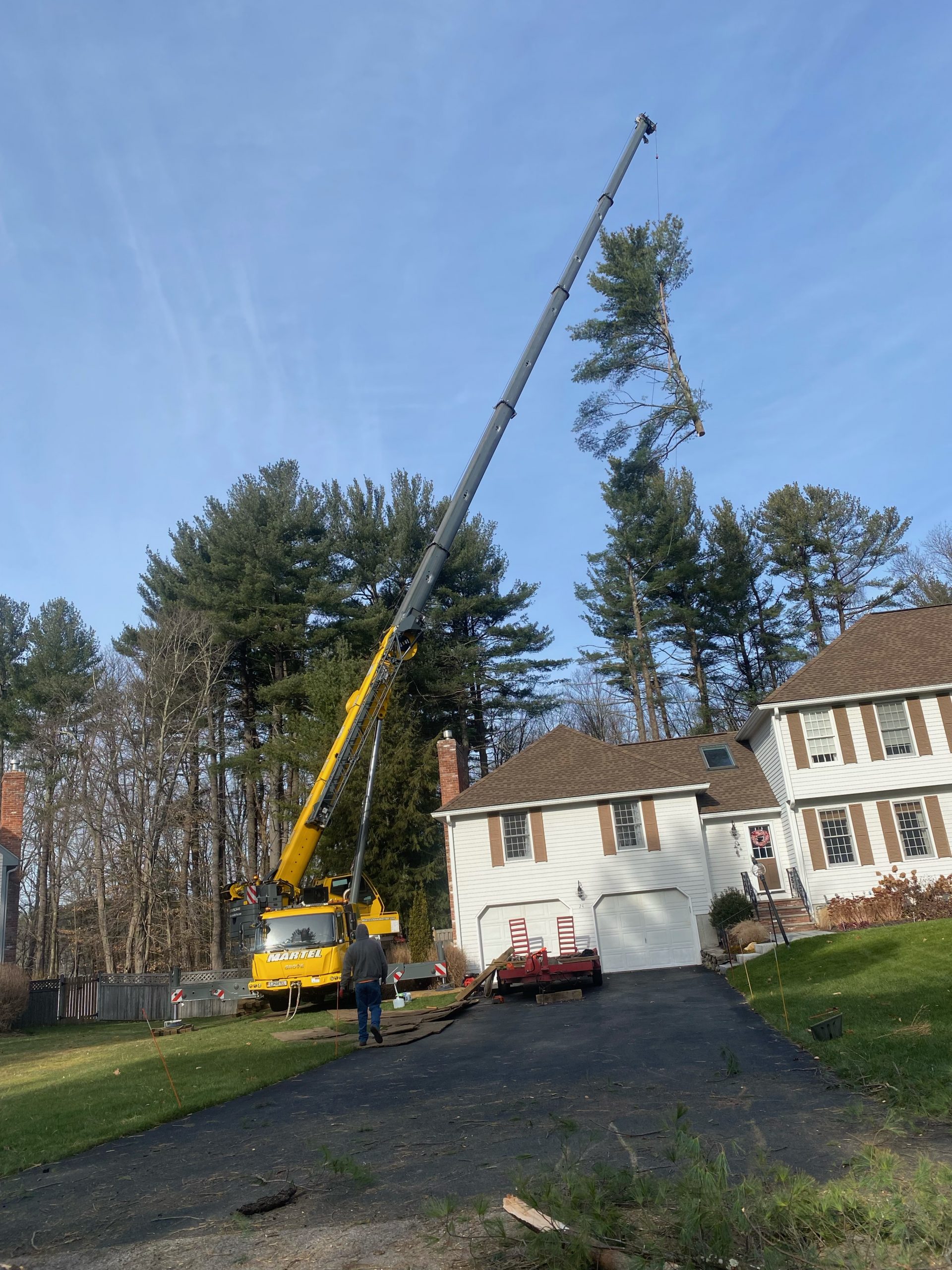 Tree Removal and Crane Rental in Andover, MA