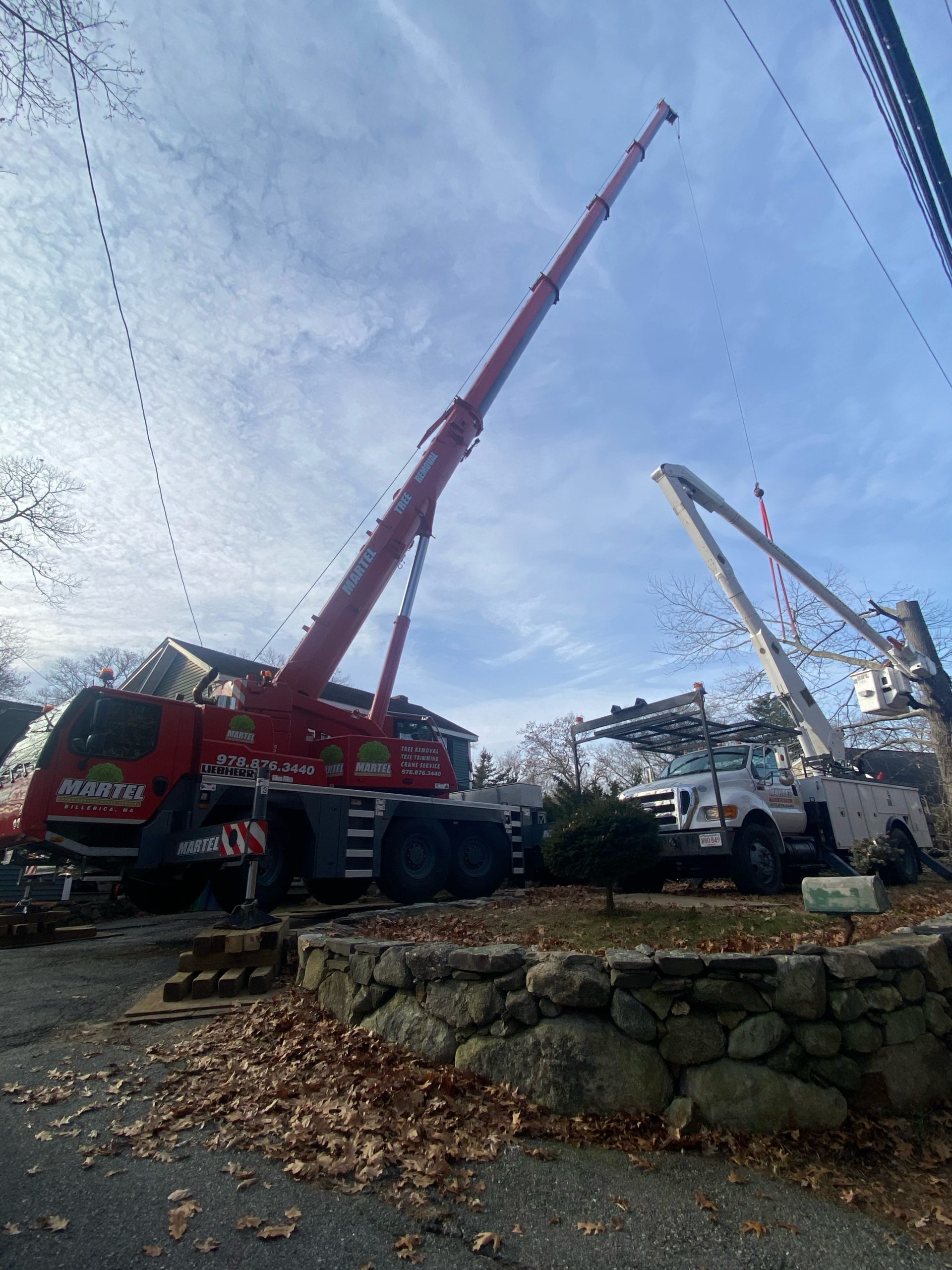 Tree Service in Billerica, MA.