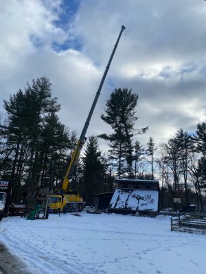 Tree Removal Services in Carlisle, MA.