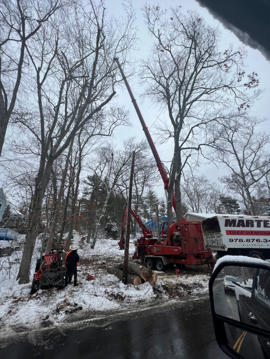 Martel Crane and Tree removed several hardwoods from this lot in Billerica,
MA