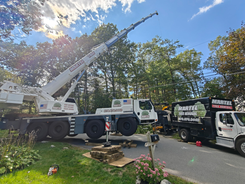 The crew from Martel Crane Service & Tree Removal recently removed trees from this property in Chelmsford, MA. Utilizing a powerful crane and specialized equipment, the team efficiently handled the job. Call Martel Crane Service & Tree Removal at 978-876-3440 for expert tree removal services, whether you're enhancing your property or dealing with damage from wind and seasonal storms. We use our own cranes, bucket trucks, and chippers to tackle any job.