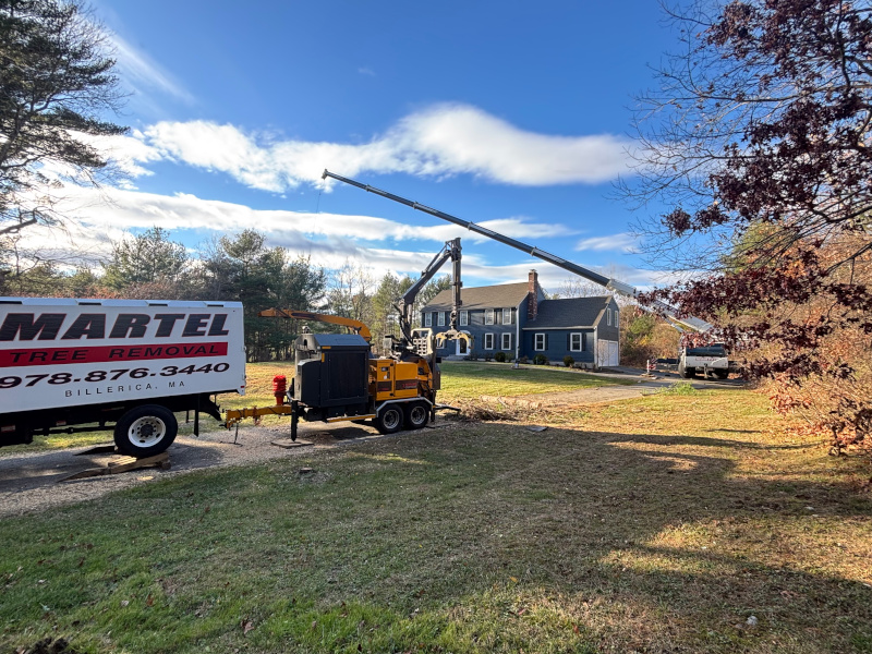 Residential Tree Removal Service in Andover, MA
