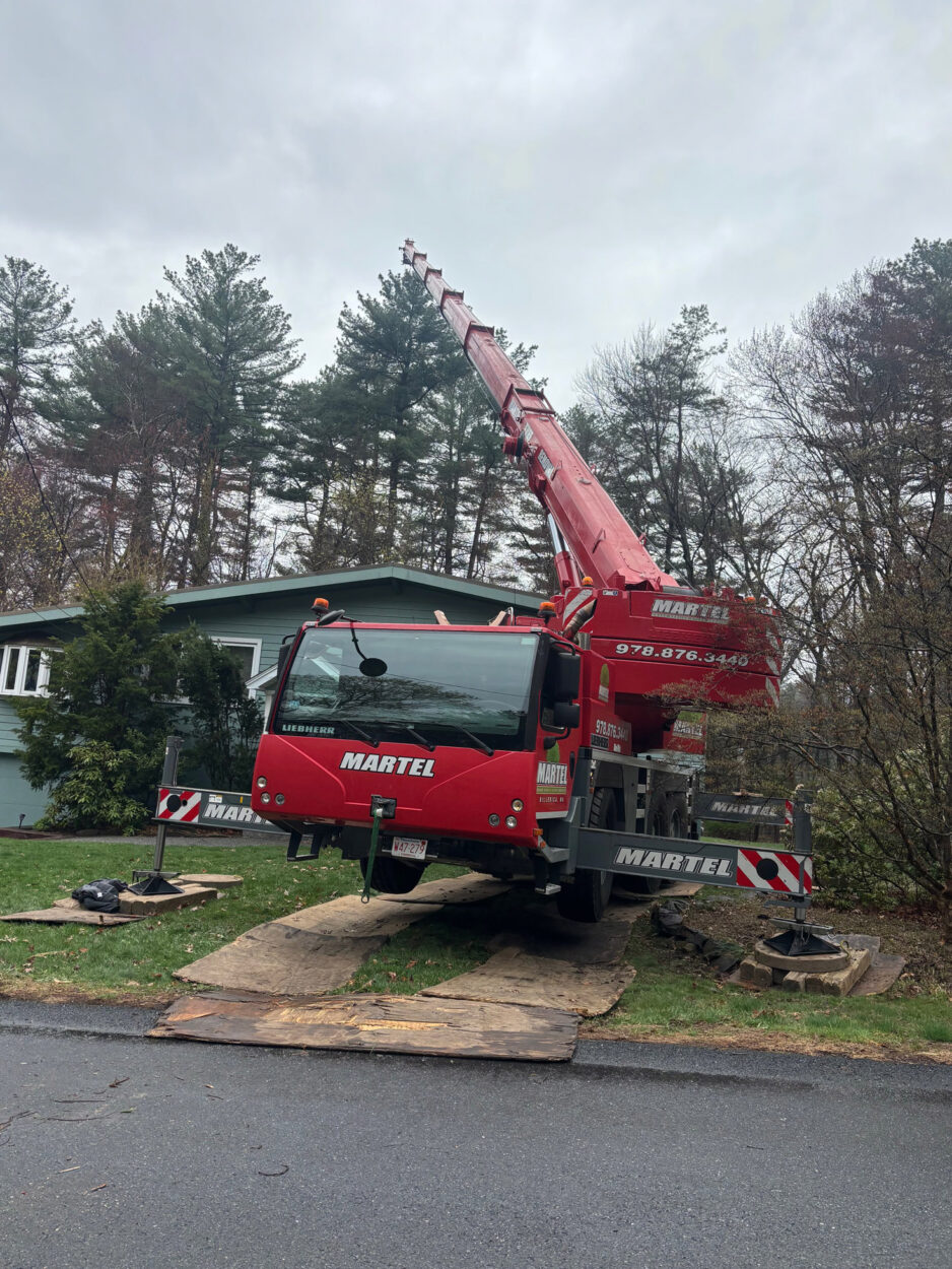 Tree Removal & Crane Service in Burlington, MA by Martel Crane Service & Tree Removal