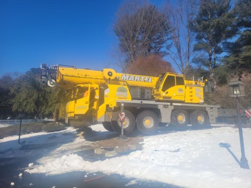 Tree Removal in Wayland, MA.