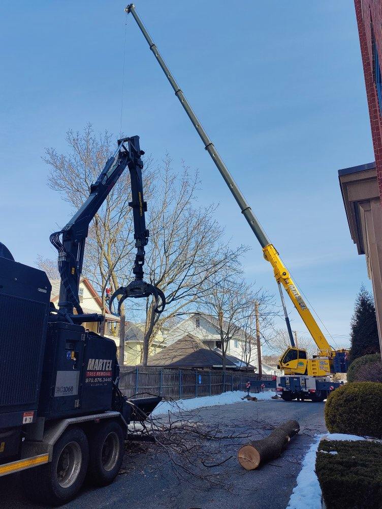 We setup behind this tight neighborhood in Medford, MA to remove trees from a residential property.