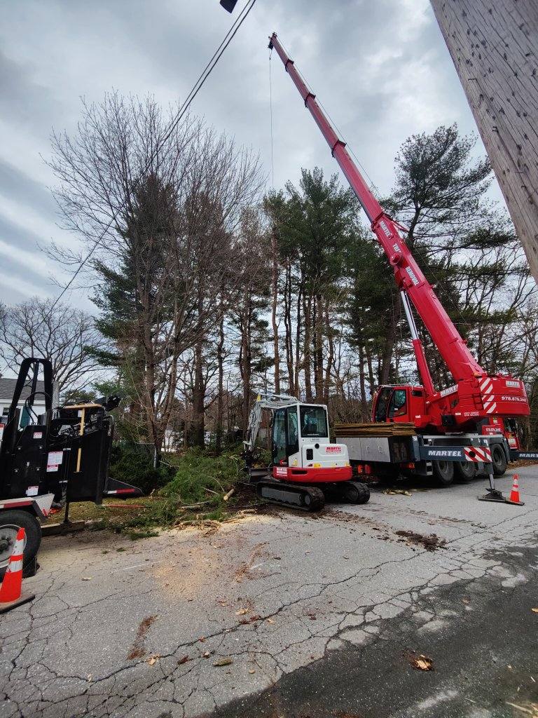 Lot Clearing and Tree Removal in Tewksbury, MA.