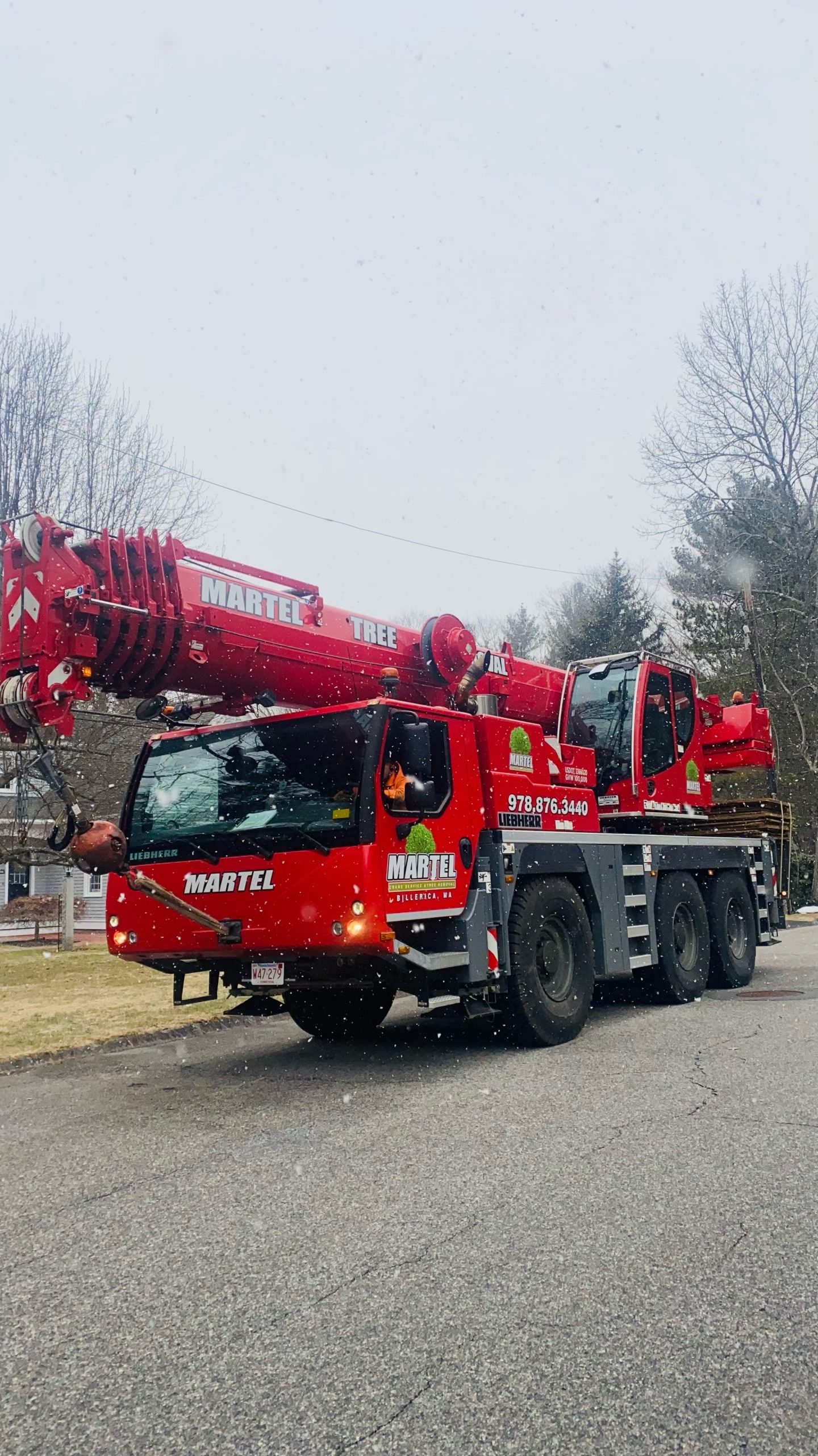 Tree Removal Service in Chelmsford, MA