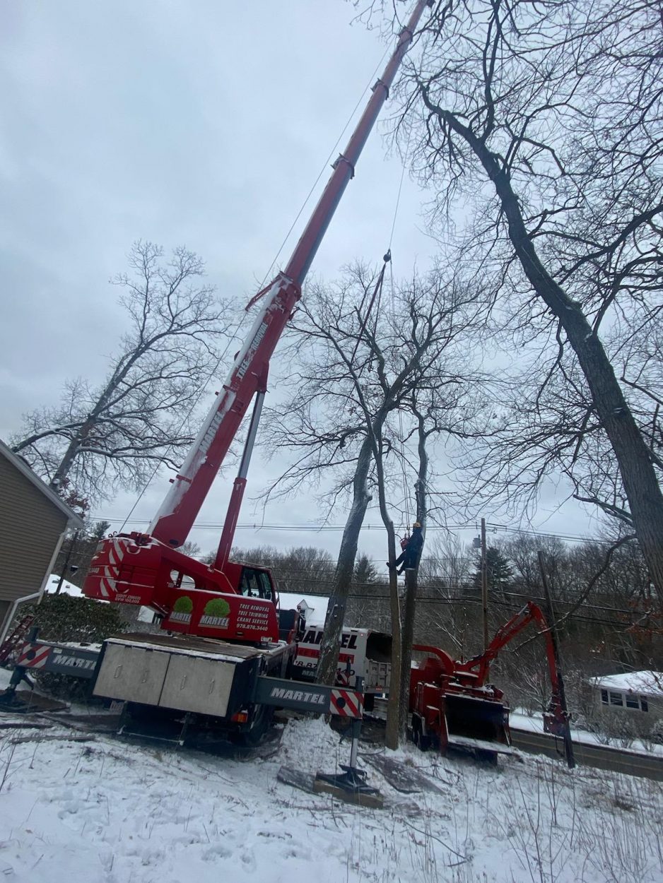 Martel Crane & Tree set up the red crane in the side yard at this property in Billerica, MA to safely remove trees.
