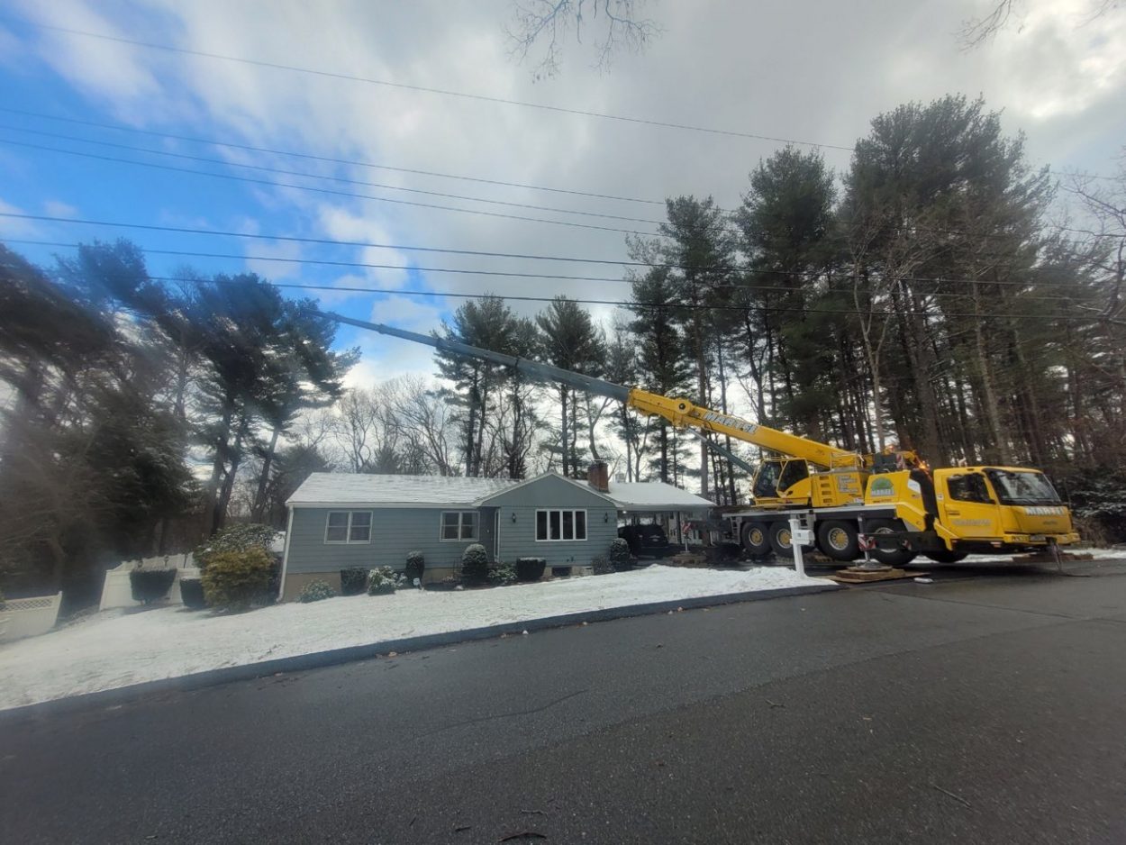 Tree Removal Service in Burlington, MA.
