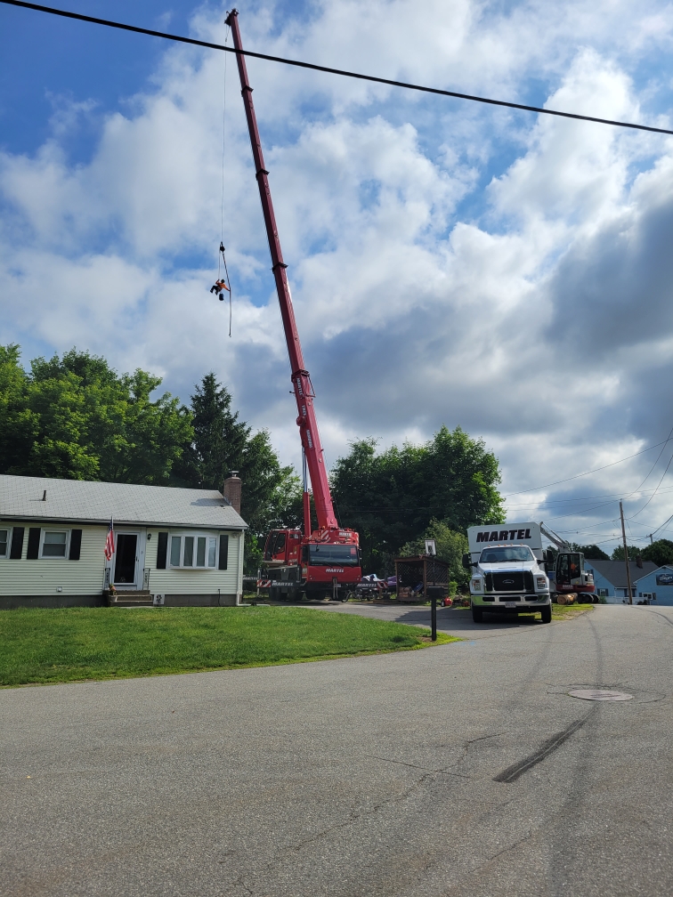 Tree Removal Service in Tewksbury, MA.