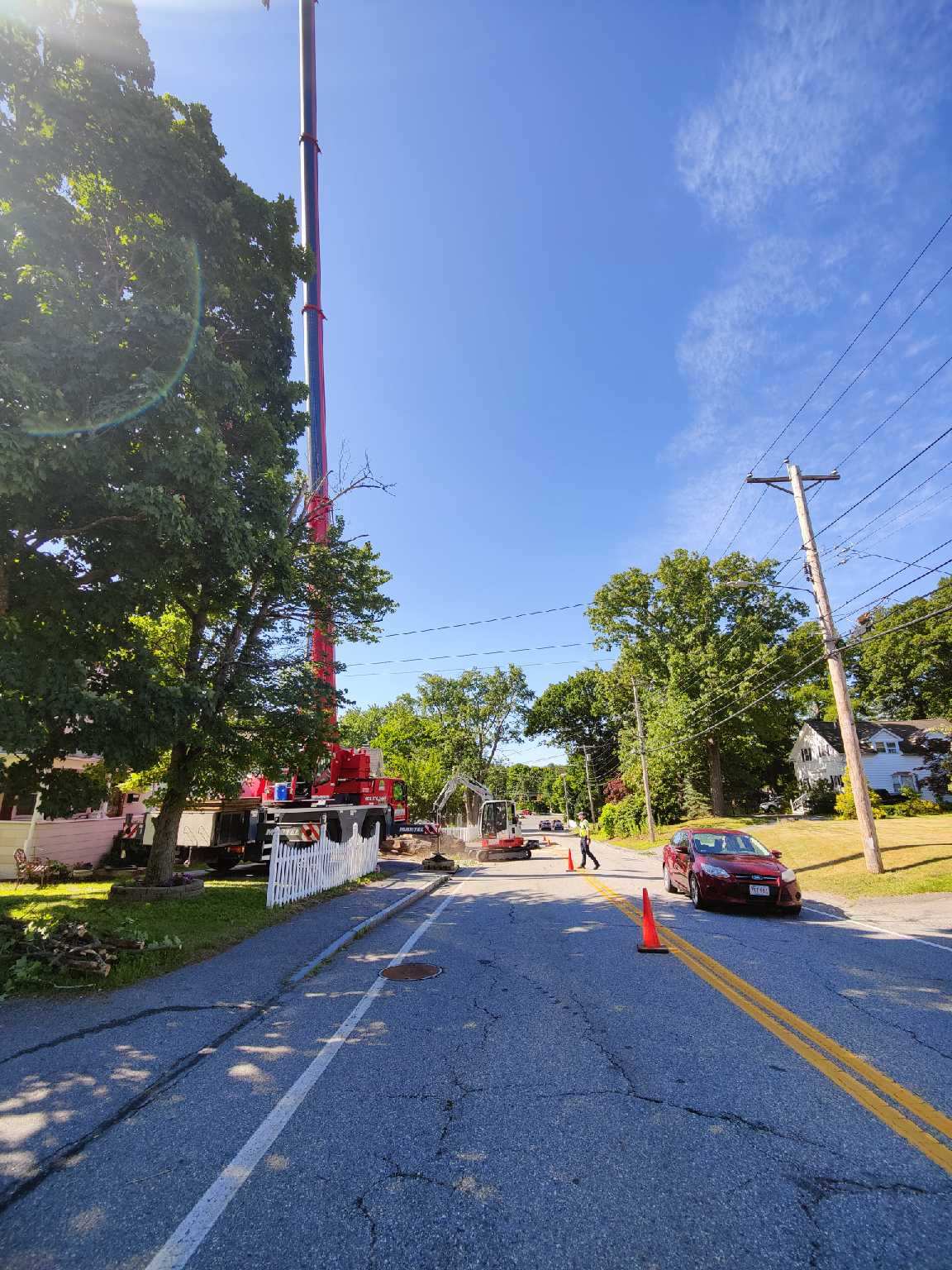 Tree Removal Service in Chelmsford, MA