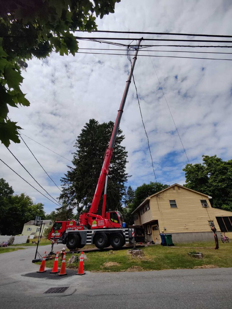 Tree and Crane Service in North Billerica, MA.