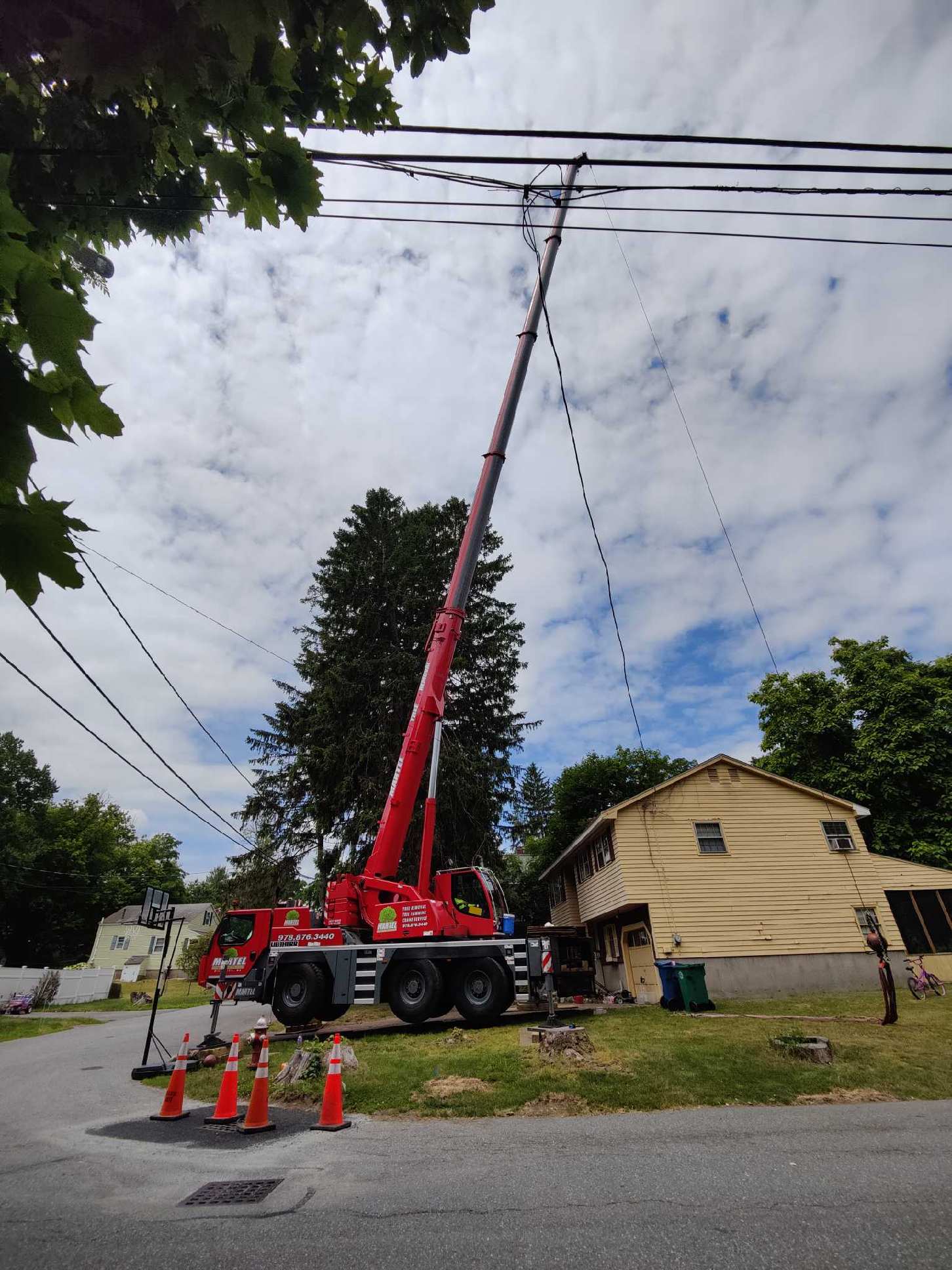 The crew and crane removed this large pine from this home in North Billerica, MA.