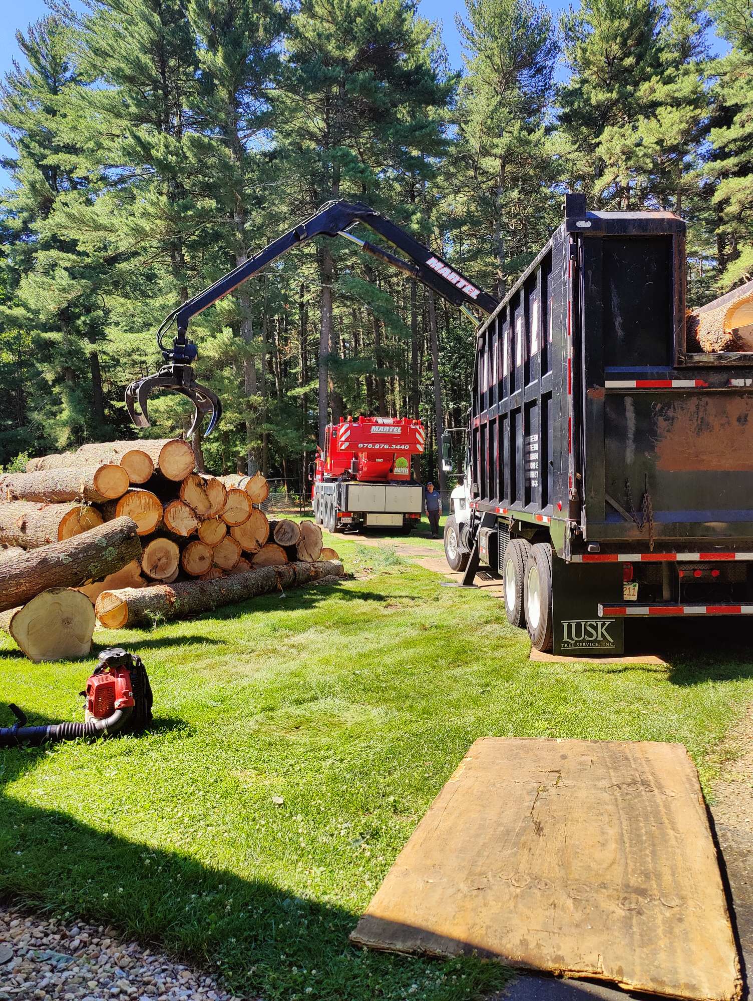  Tree Removal and Lot Clearing in Tewksbury, MA