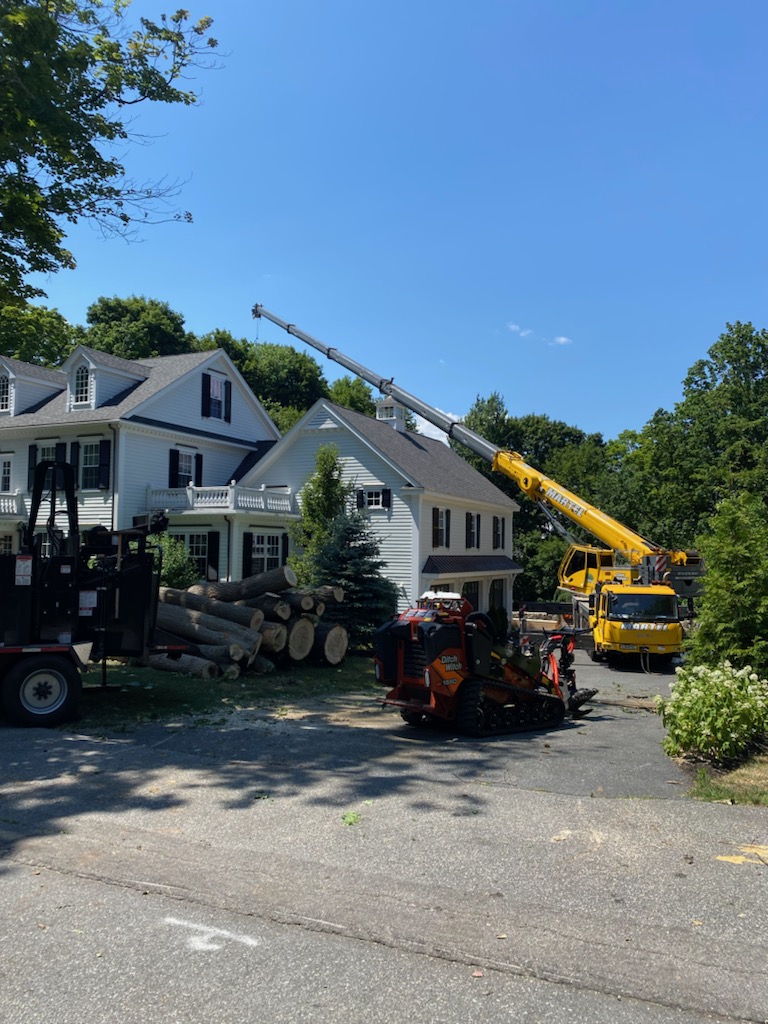 Tree Service and Removal in Andover, MA.