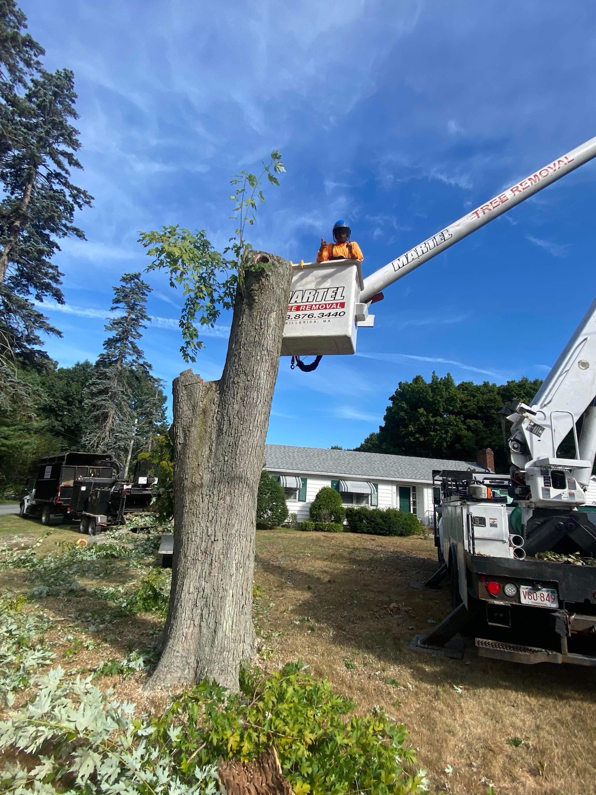 Tree Removal and Bucket Work in Lexington, MA.