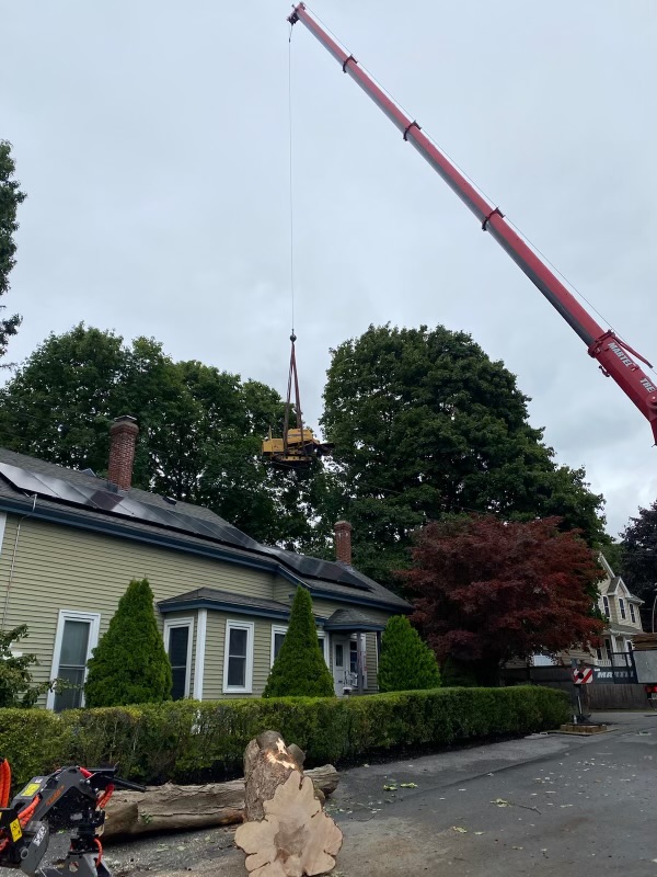 The crew from Martel Crane and Tree had to get creative to get the stump grinder into an inaccessible backyard in Woburn, MA.
