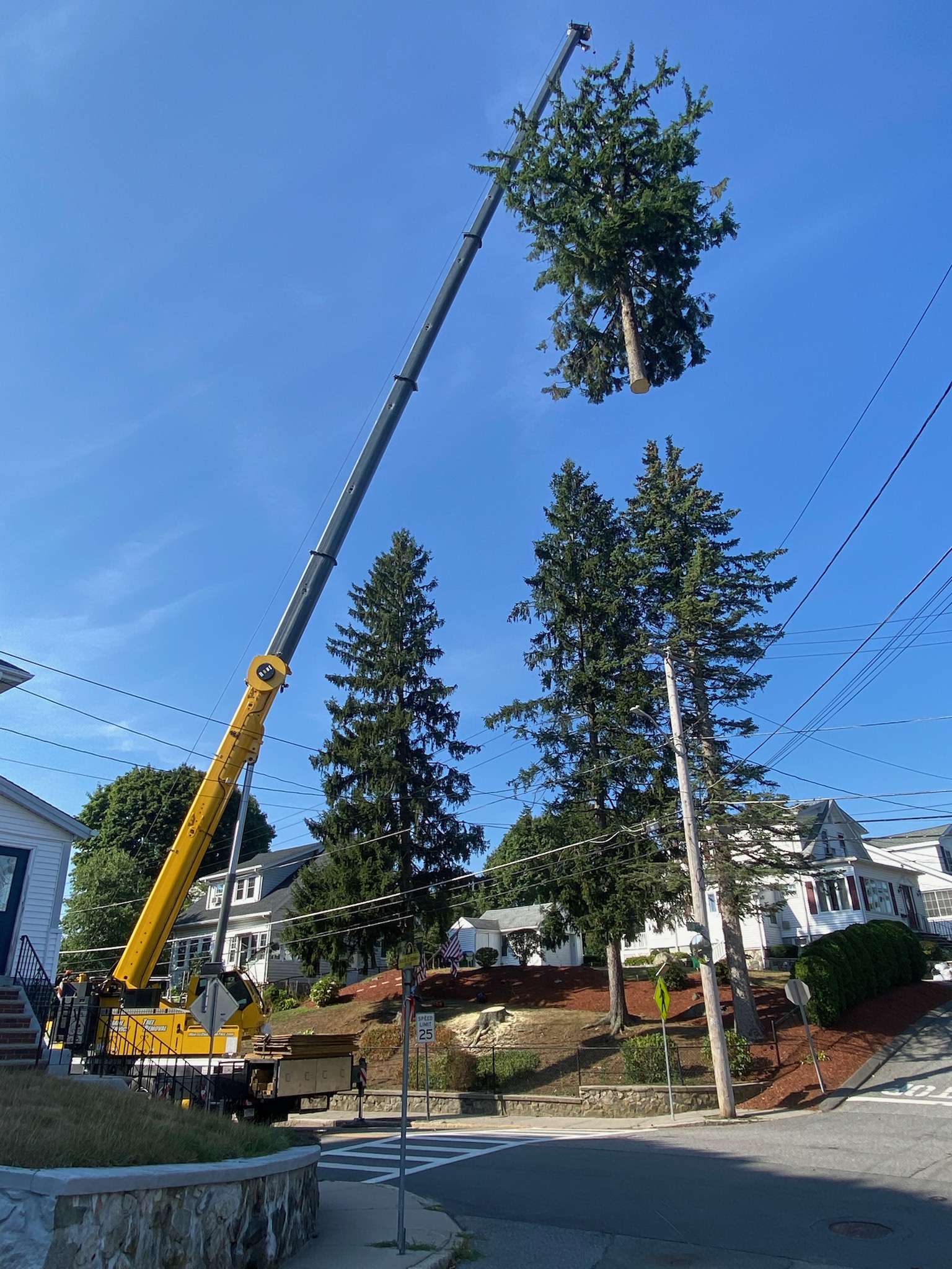 The crew and crane from Martel Crane and Tree setup in front of this property in Medford, MA to safely remove large pines from the front yard and lift them over the utility wires.