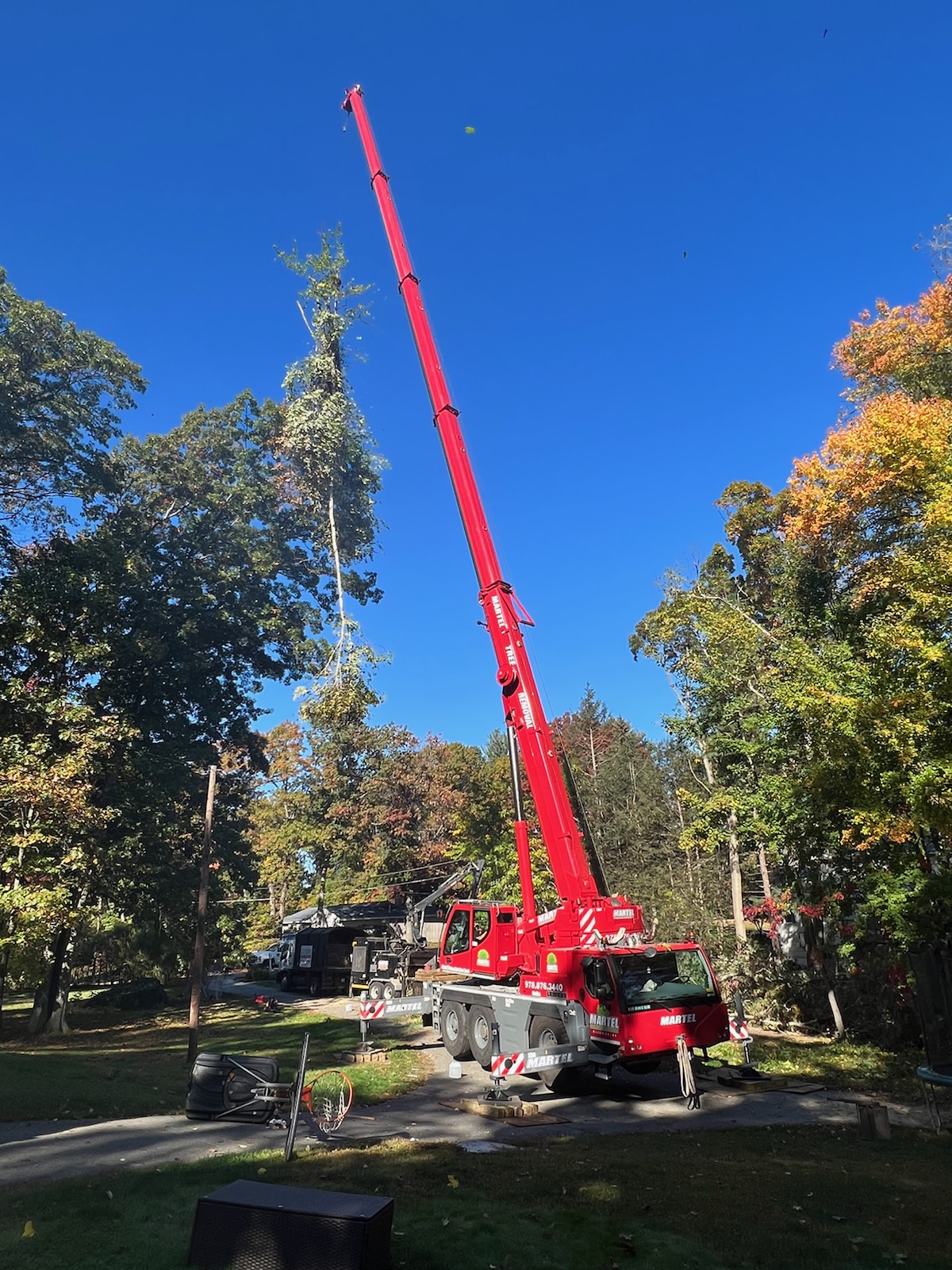 Tree Removal Service in Chelmsford, MA