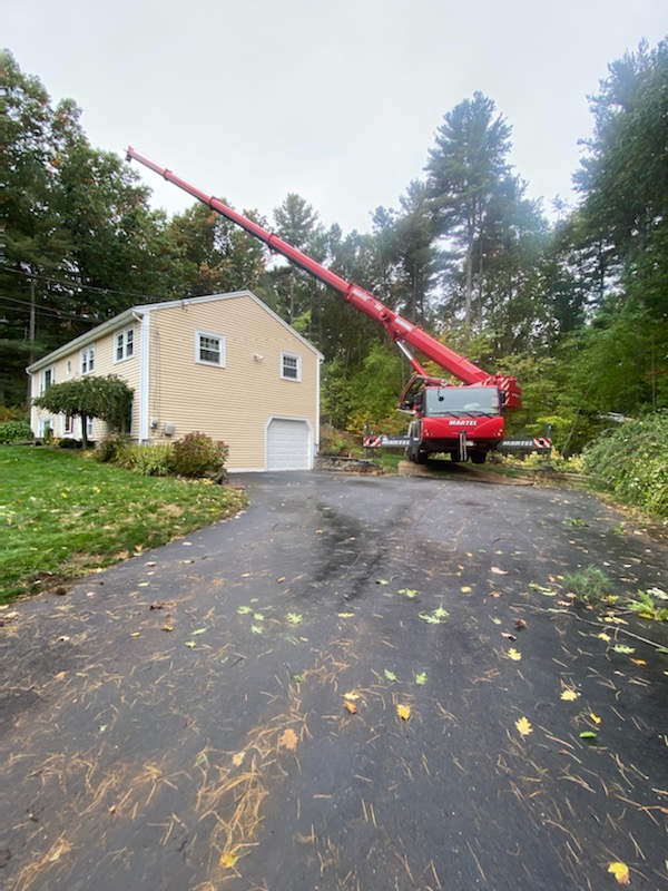 Tree Removal Service in Westford, MA