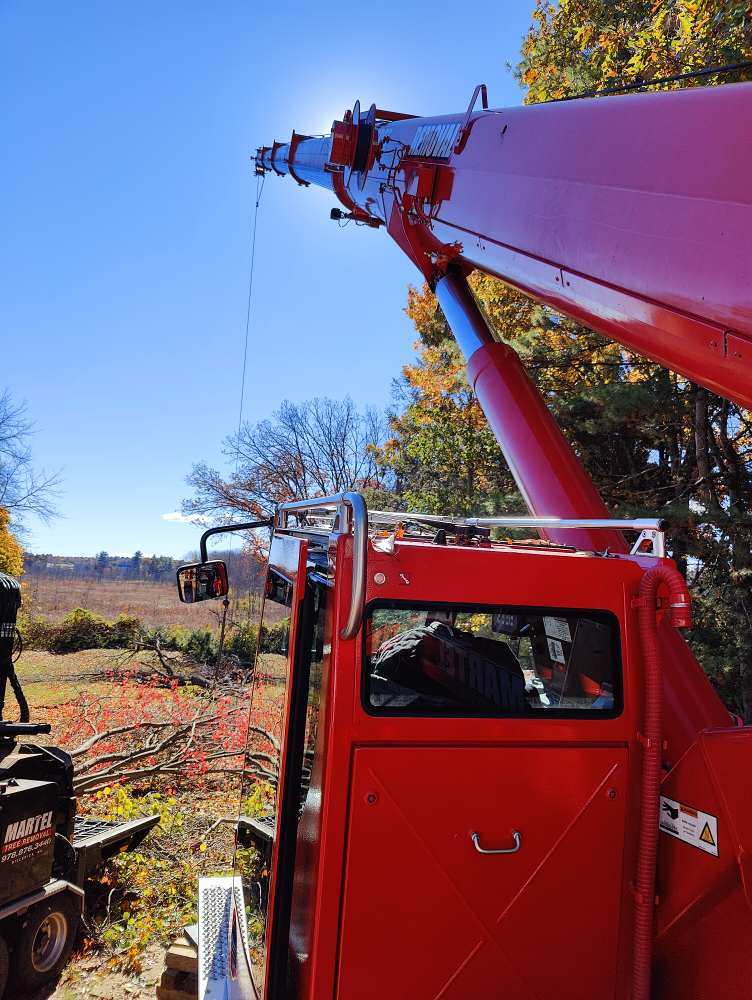 Tree Removal Service in Andover, MA